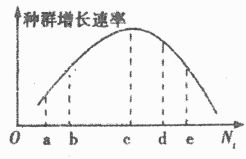 自然保護區的生態系統組成與鳥類角色