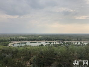 寧夏植綠治沙 守護黃河生態安全的壯麗征程